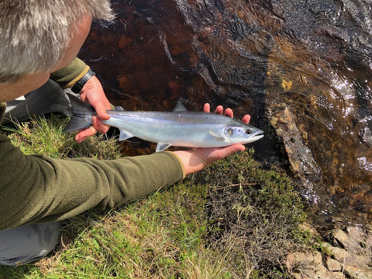 Fishing Report - May 2019, Salmon Fishing News from the Naver in Scotland