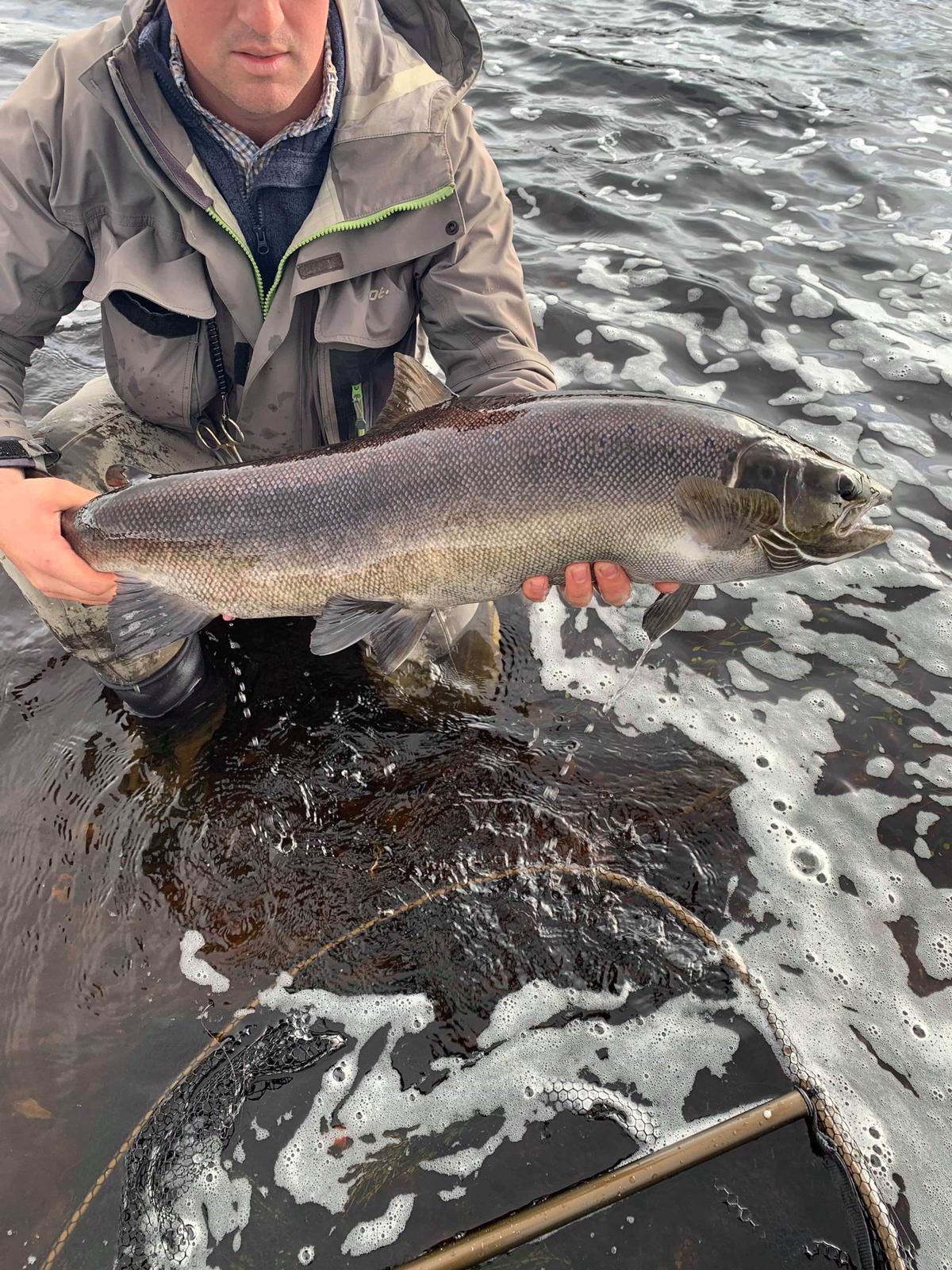 Fishing Report - September 2019, Salmon Fishing News from the