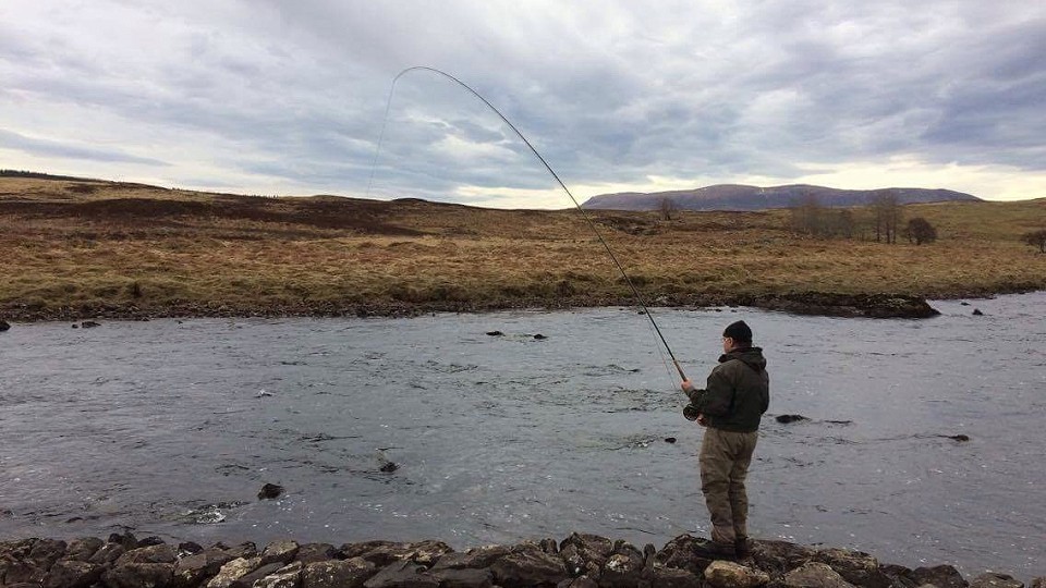 Salmon Fishing News from the river Naver at Syre Estate in Scotland