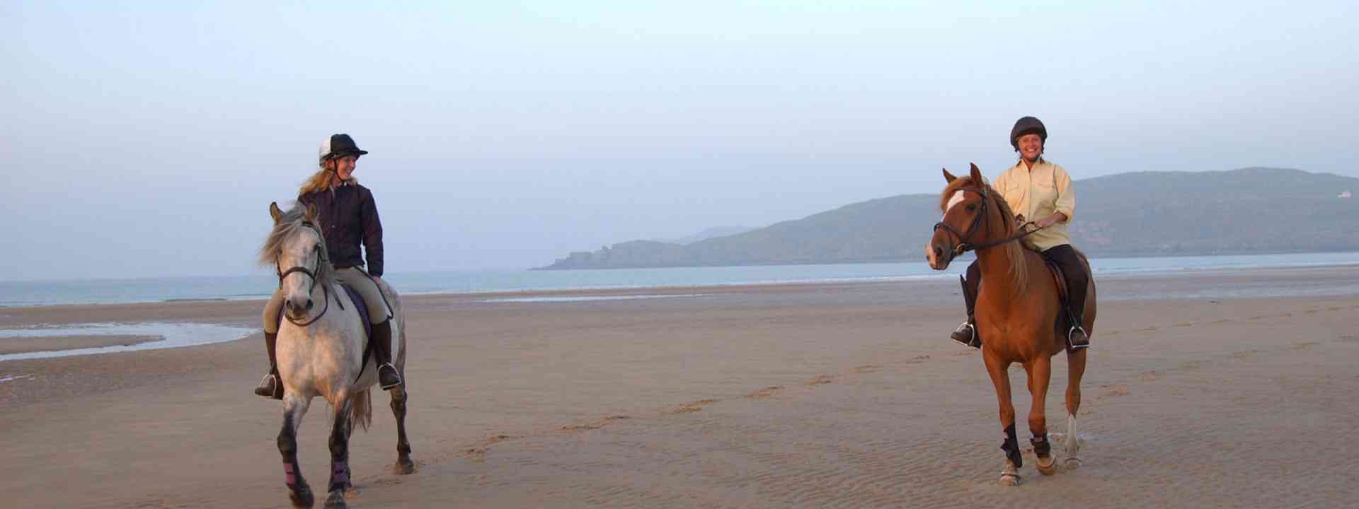 Salmon Fishing Holidays in Scotland, Woodcock Shooting, Deer Stalking